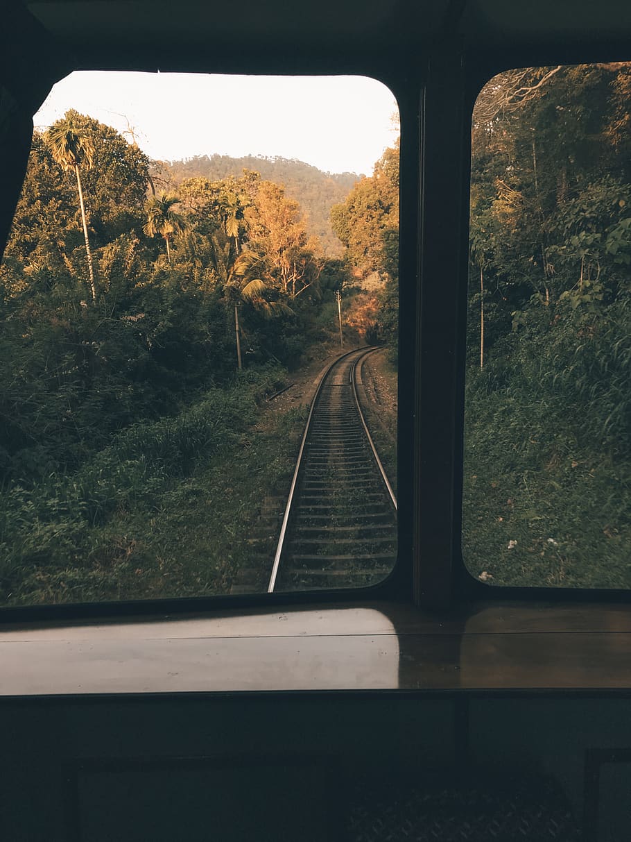 train rails, train track, railway, transportation, plant, tree HD wallpaper