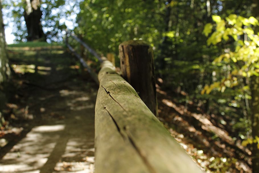 fence, close up, blurry, away, trees, shadow, out of focus HD wallpaper