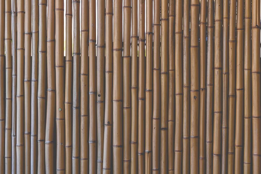 bamboo, texture, patern, backgrounds, full frame, wood - material HD wallpaper