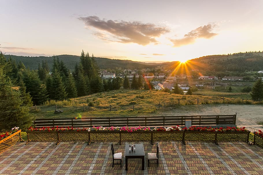 diner, romantic, table, two, sunset, forest, hills, sky, flowers HD wallpaper