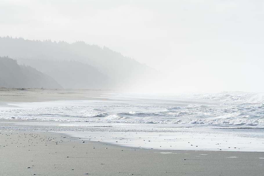 shore during daytime, nature, outdoors, ocean, water, sea, beach HD wallpaper