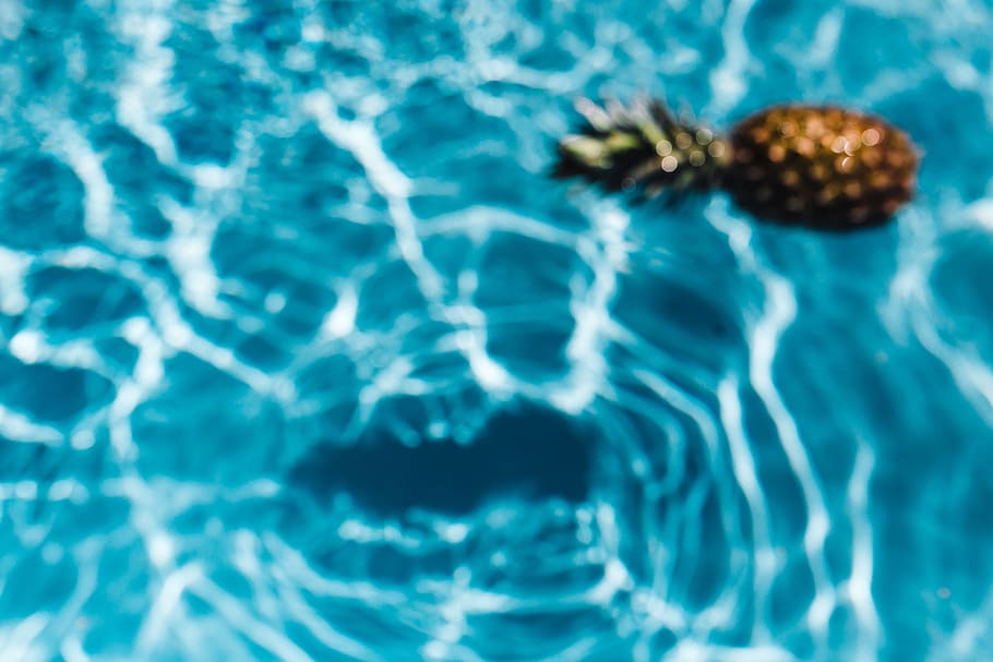 Pineapple in a swimming pool, day, summer, water, copyspace, fruits HD wallpaper