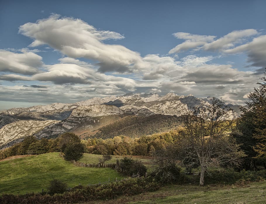 spain, peloño, trees, mountains, sky, asturias, landscape HD wallpaper