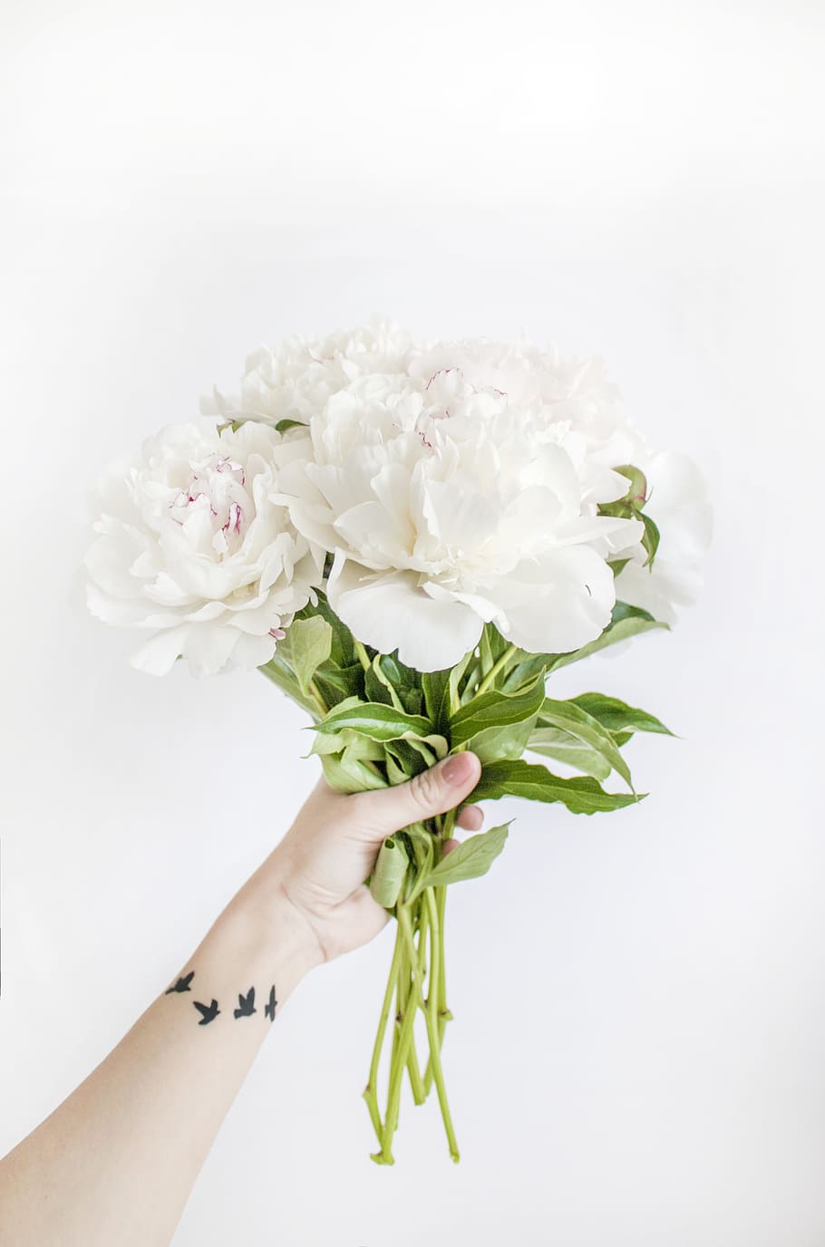 Person Holding White Peony Bouquet Closeup Photography, background HD wallpaper