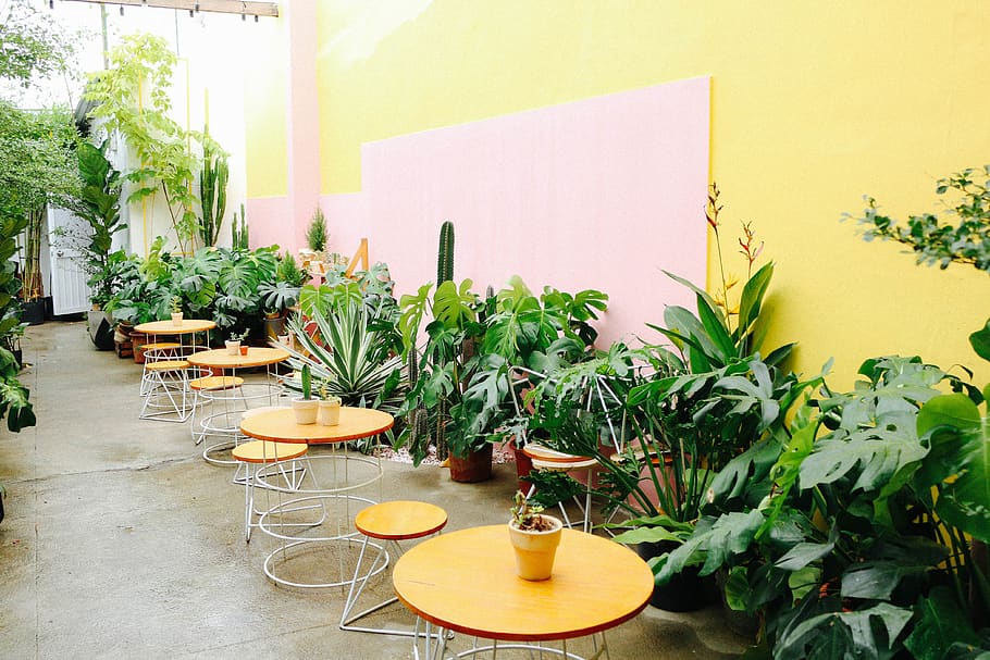 round yellow wooden table, restaurant, cafeteria, nha trang, viet nam HD wallpaper