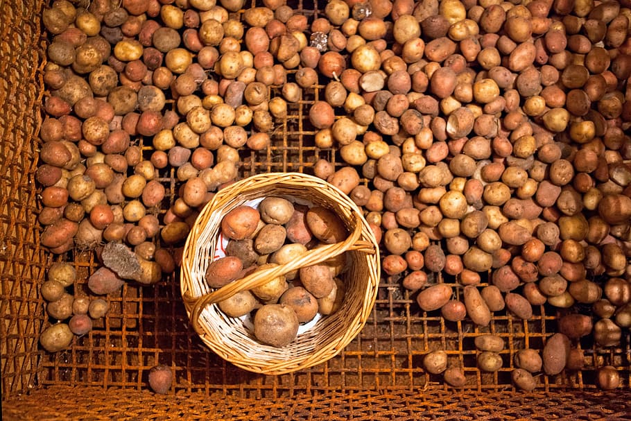 root, vegetarian, produce, natural, kitchen, agriculture, tuber HD wallpaper