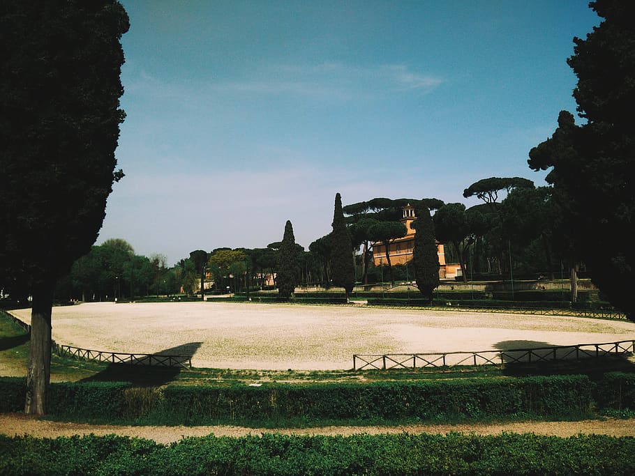 italy, rome, plant, architecture, built structure, tree, grass HD wallpaper