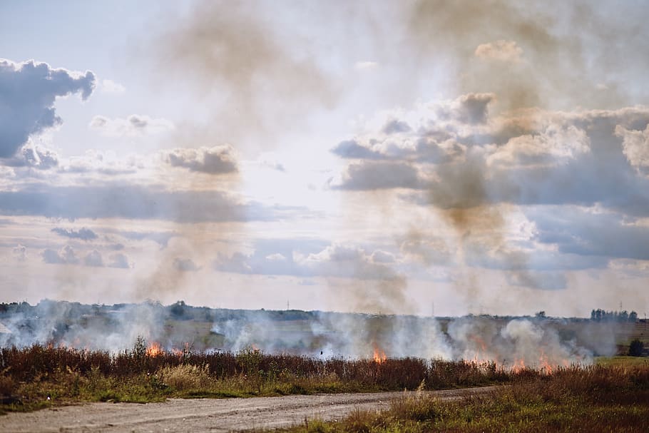 fire, field, anxiety, ash, burned, the destruction of the, fire department HD wallpaper