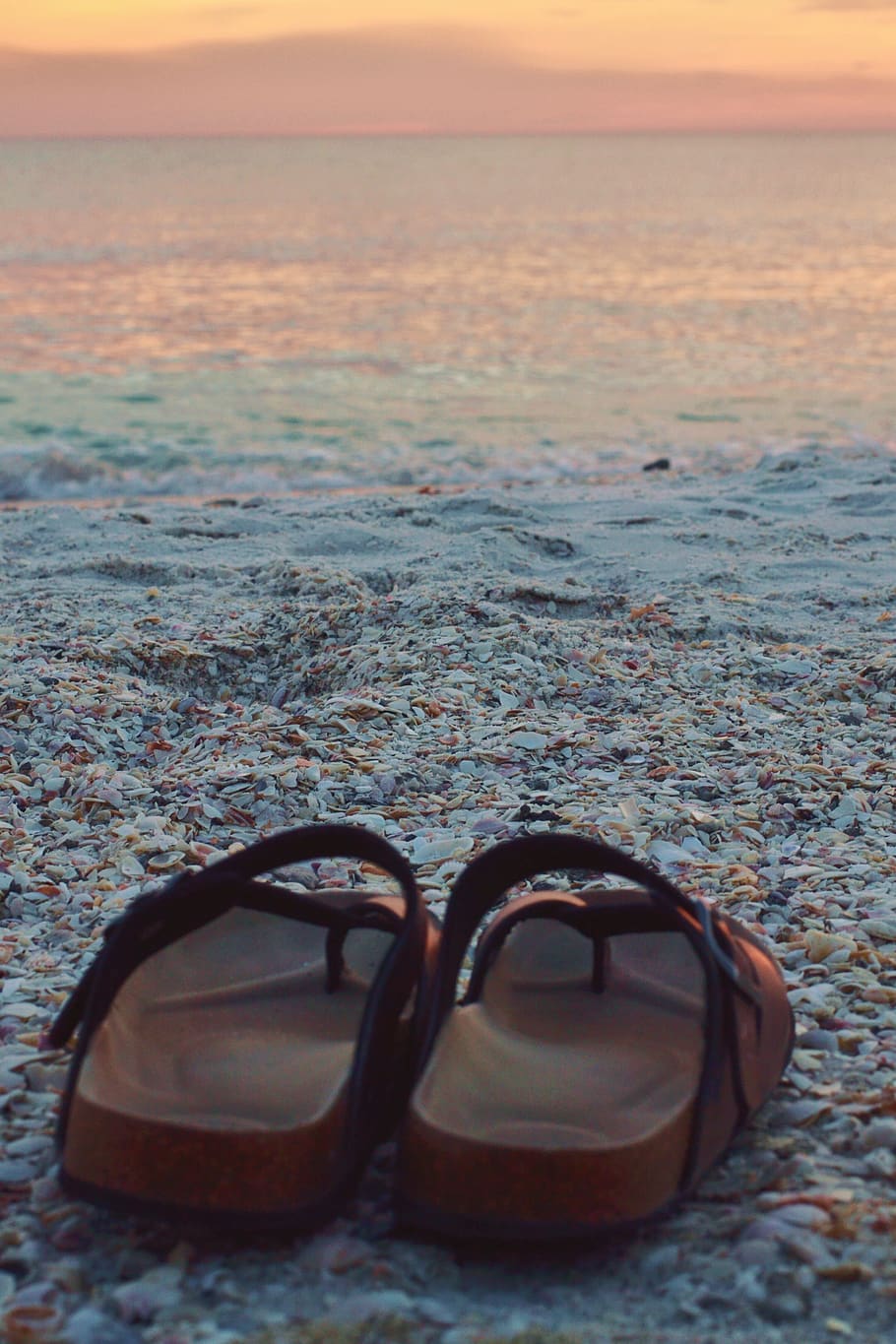 beach, sandals, ocean, sea, sunset, shells, florida, water HD wallpaper