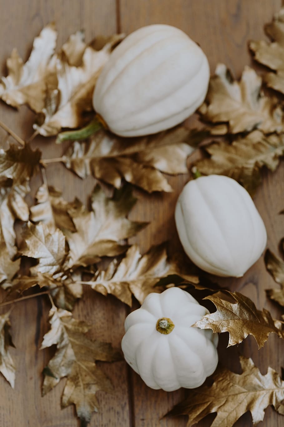 White pumpkins with golden oak leaves, white pumkin, leaf, painted leaf, HD wallpaper