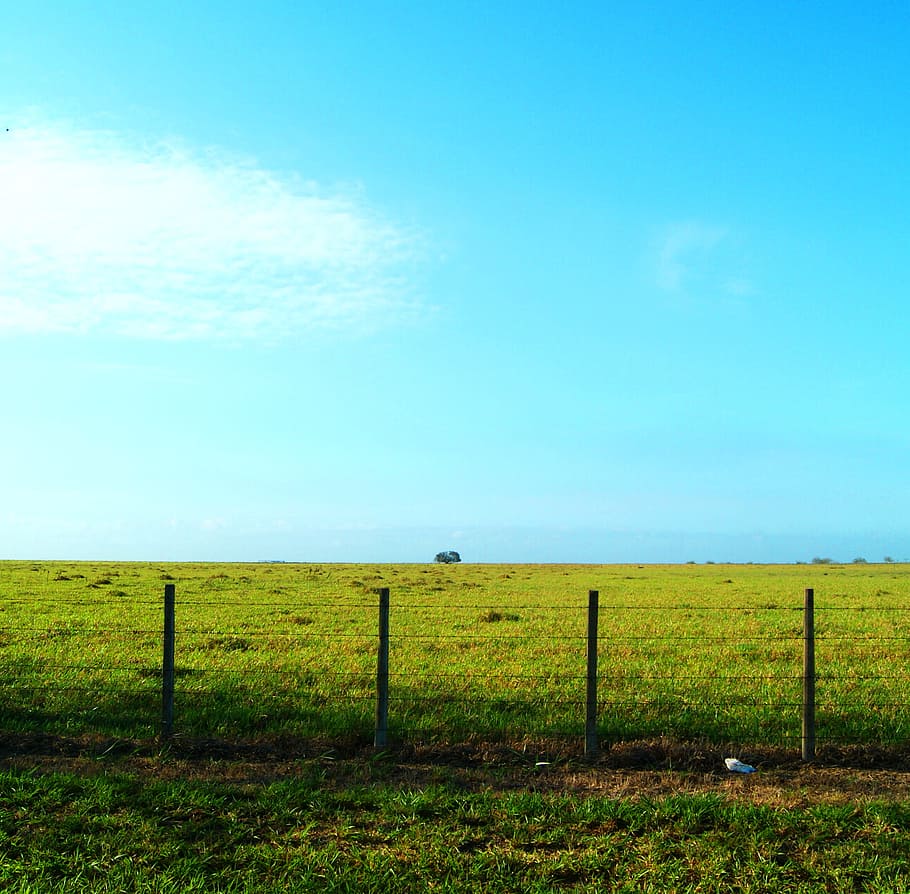 Greenfield Behind Blue Sky, cloud, countryside, cropland, daylight HD wallpaper