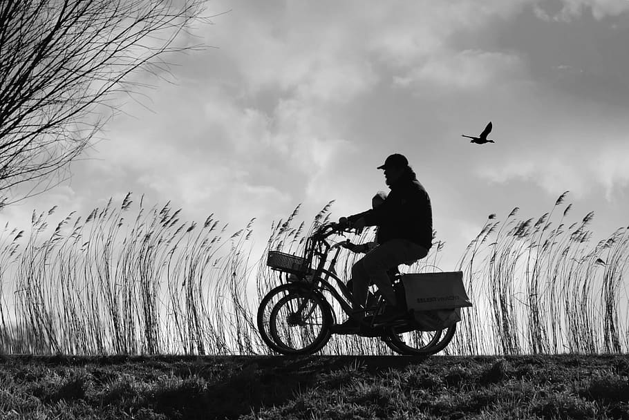 cyclist, bicycle, people, exercise, destination, going somewhere HD wallpaper