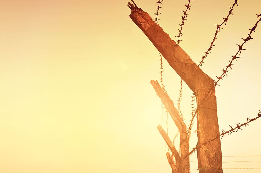 Fence, concepts, construction, ideas, sky, metal, no people, nature HD wallpaper