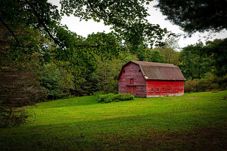 Barn in the Middle of Lawn Surrounded With Trees during Daytime HD wallpaper