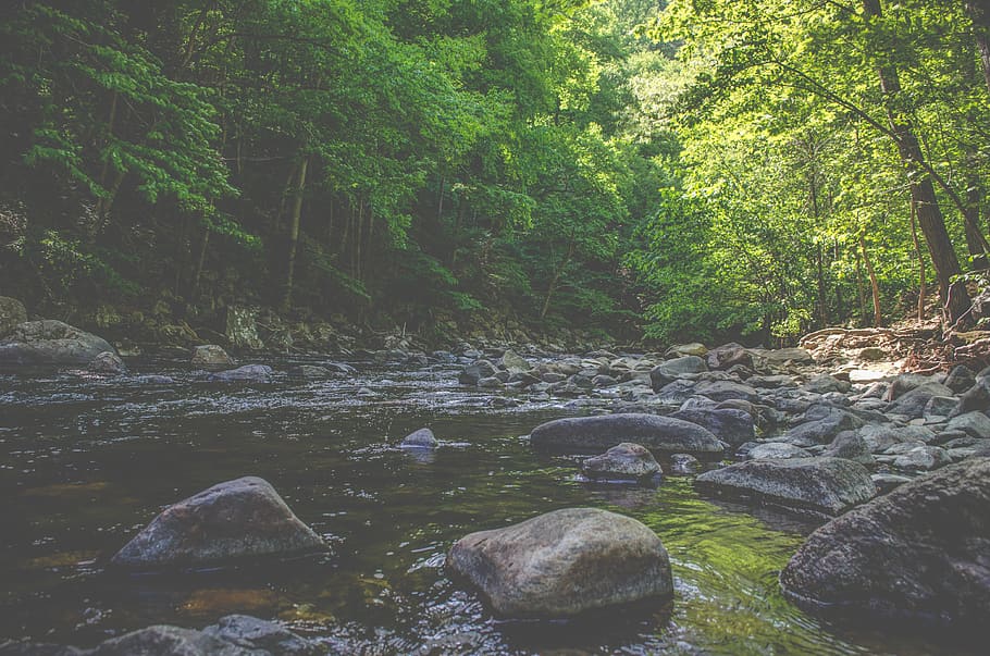 river, water, stream, rocks, nature, outdoors, trees, forest HD wallpaper