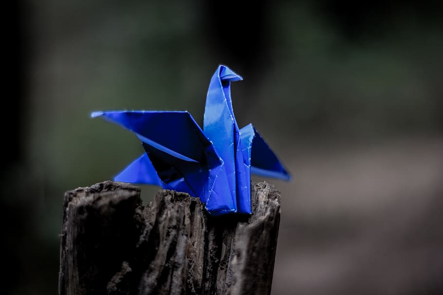 indonesia, kebumen, bird, blue, origami, paper, craft, no people