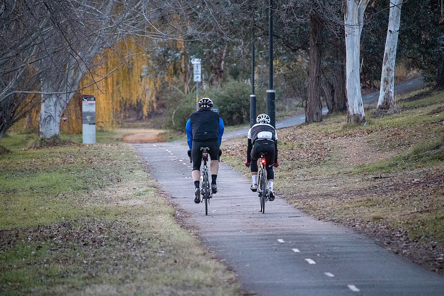 cycling, autumn, bike path, bicycle, active, sport, biking HD wallpaper