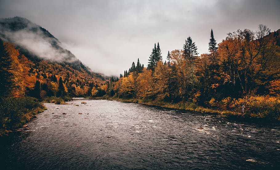 canada, quebec, fall, colors, colour, mood, clouds, fog, rain HD wallpaper