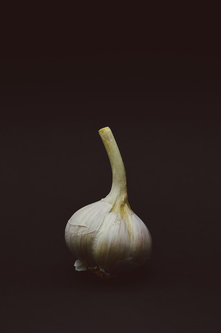 onion, food, food and drink, studio shot, vegetable, healthy eating HD wallpaper