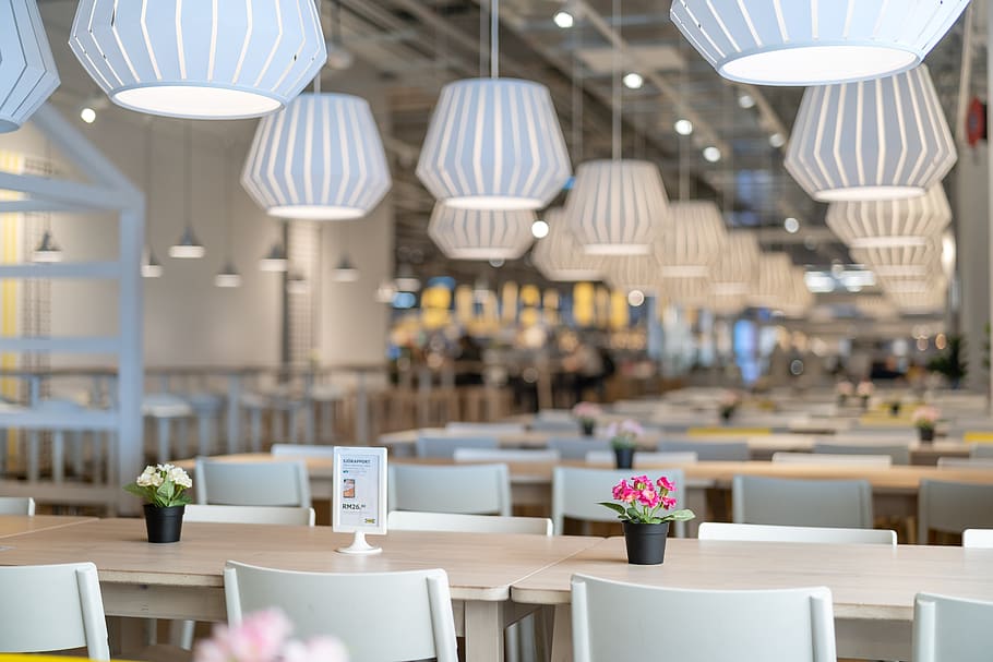 ikea, table, dining, chair, lamp, plant, natural, lifestyle HD wallpaper