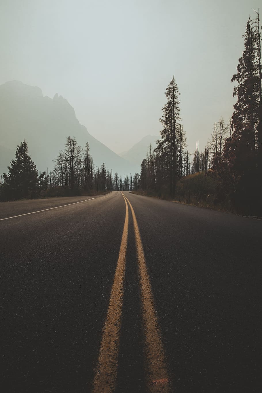 road, movement, drive, driving, pavement, desert, dirt, landscape HD wallpaper