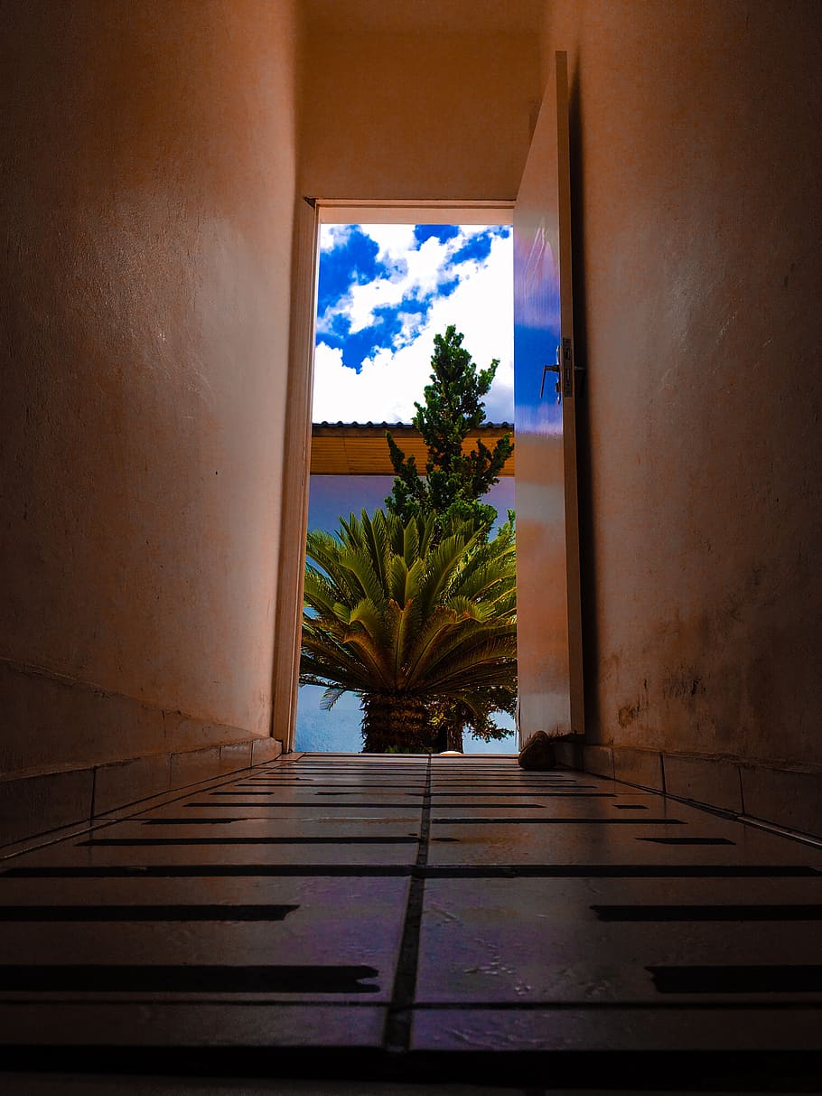 Hallway in Front of Palm Tree, clouds, door, empty, floor, indoors HD wallpaper