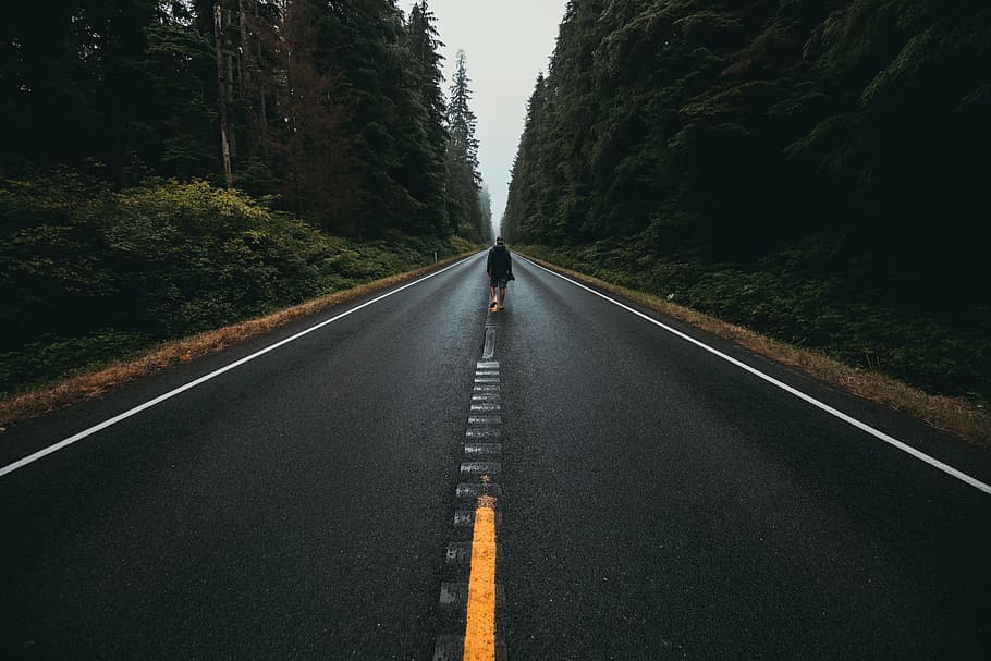 person walking alone in the middle of the road, tree, wanderlust HD wallpaper