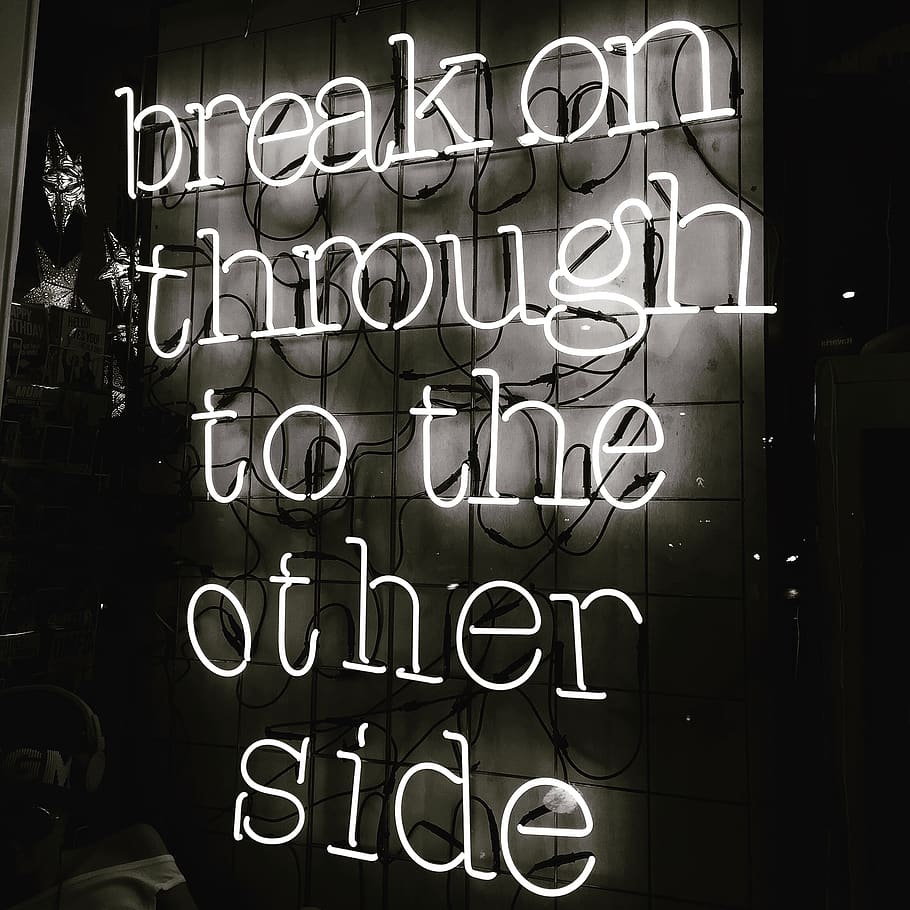 netherlands, amsterdam, neon, text, inspiration, lights, communication HD wallpaper
