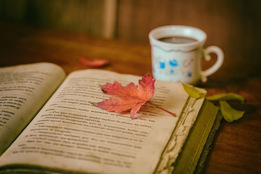 Maple Leaf on Book Page Beside Cup of Coffee on Table, beverage HD wallpaper