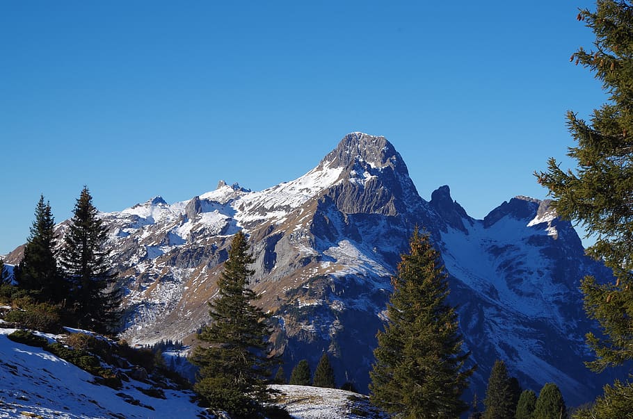 winter, snow, cold, nature, landscape, alpine, wintry, snow landscape HD wallpaper
