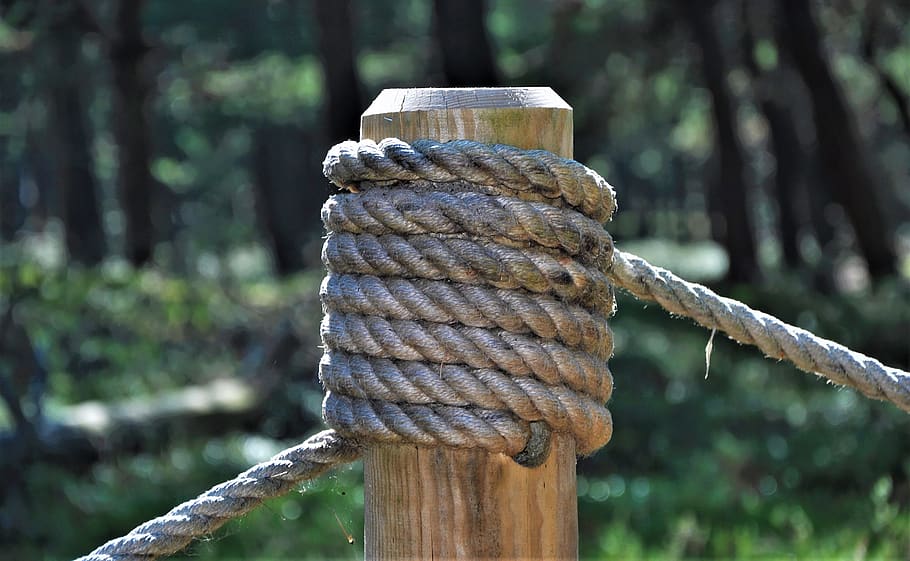 string, node, peg, rope, forest, focus on foreground, day, tree HD wallpaper