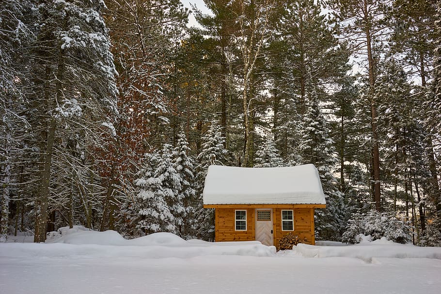 Brown Wooden House, cabin, chalet, cold, evergreen, fir, zing HD wallpaper