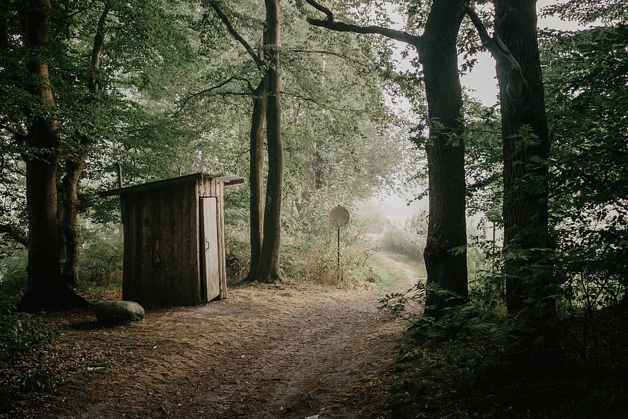brown shack surrounded trees, plant, forest, land, nature, trunk HD wallpaper