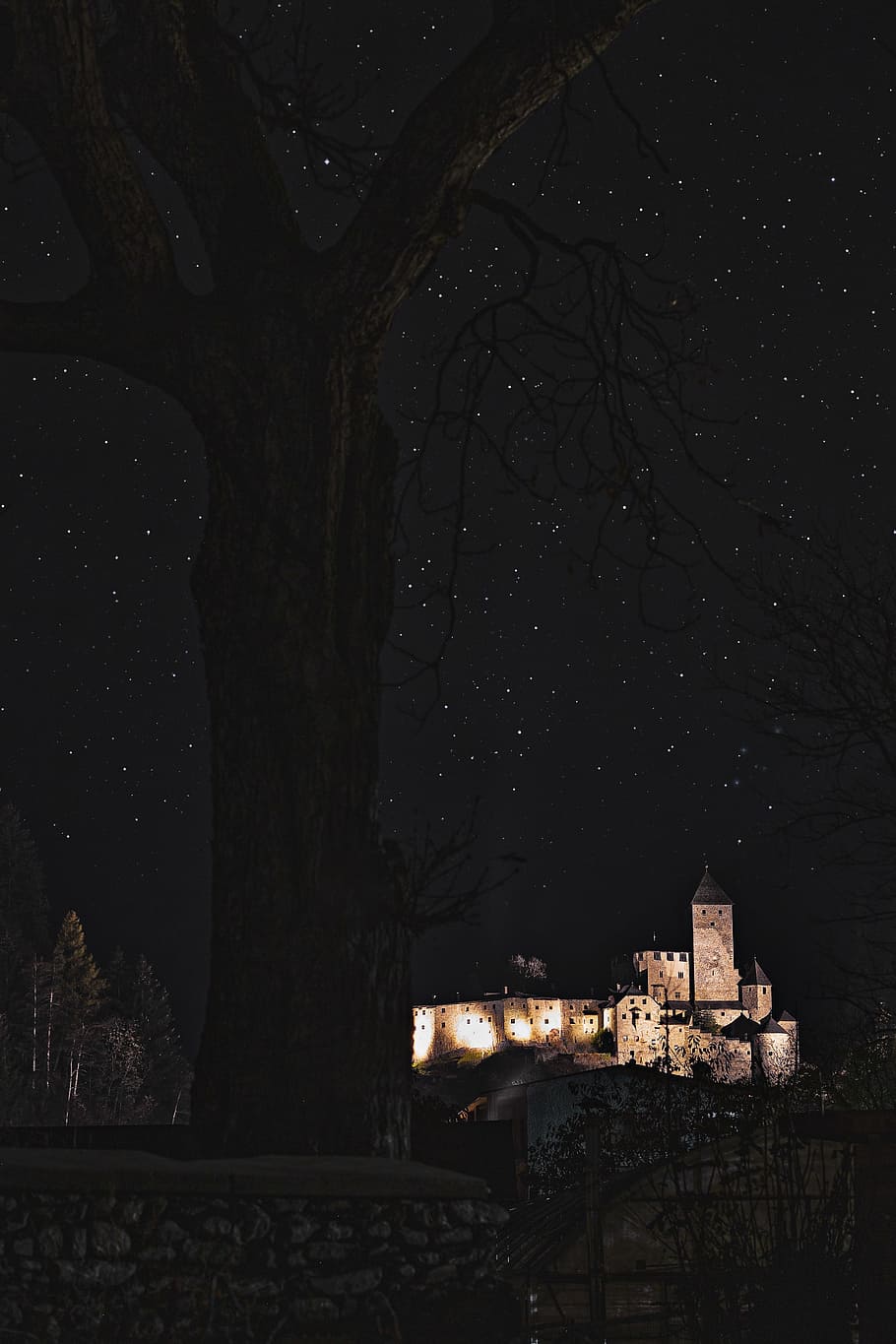 house and tree, star, night, castle, sky, historic, lit, starry, HD wallpaper