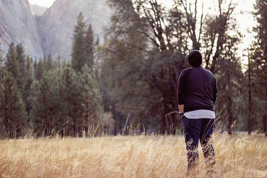 nature, grass, plants, trees, woods, people, man, guy, outdoor HD wallpaper
