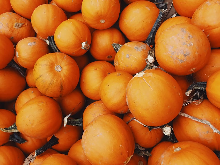 squash lot, plant, produce, flora, food, fruit, grapefruit, orange HD wallpaper