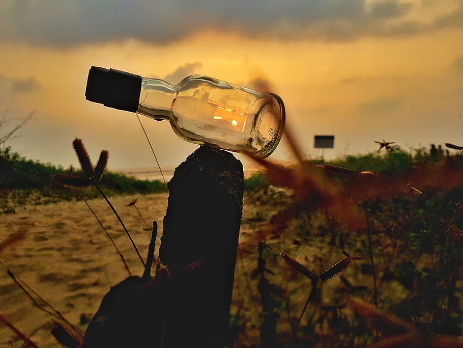 india, tarkarli beach, nature, sky, land, one person, holding HD wallpaper