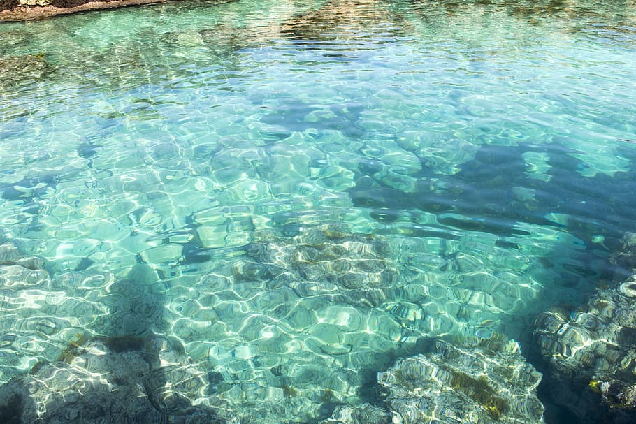 italy, savelletri, water, swimming, nature, underwater, day HD wallpaper