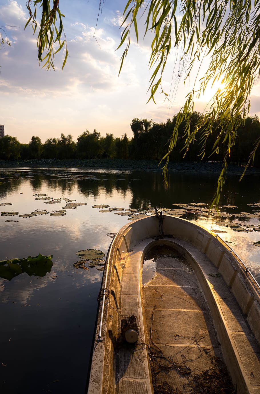 lake, boot, sunshine, water, sky, reflection, tree, plant, tranquility HD wallpaper