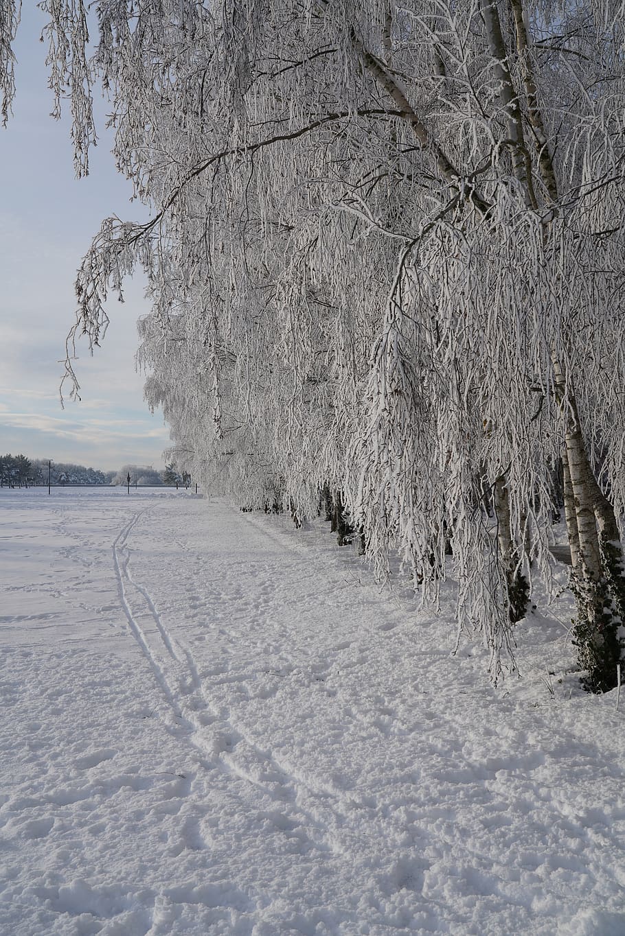 frost, icy, winter, cold, icy cristals, snow, cold temperature HD wallpaper