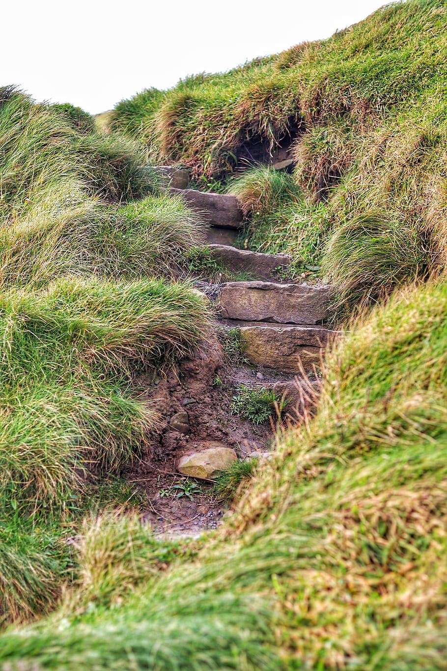 ireland, cliffs of moher, stone stairs, hiking, nature, adventure, HD wallpaper