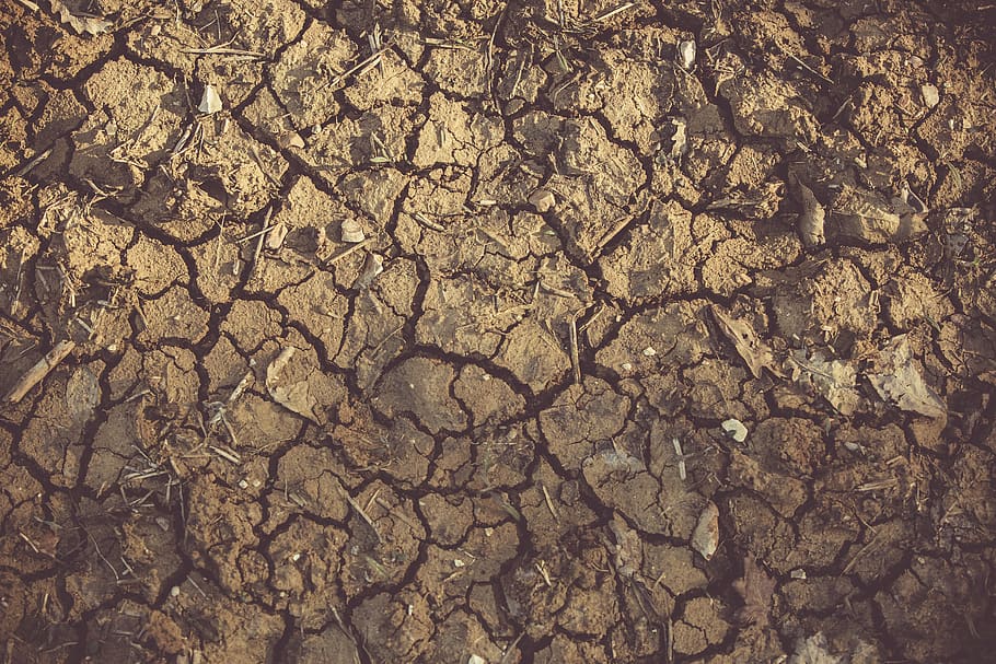 Withered Ground, arid, clay, close-up, cracks, dirt, dirty, drought HD wallpaper