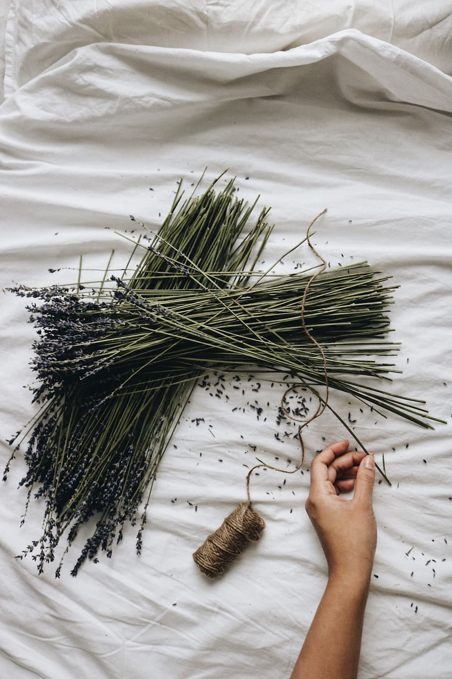 flowers on bed, hand, finger, lavender, animal, bird, building HD wallpaper
