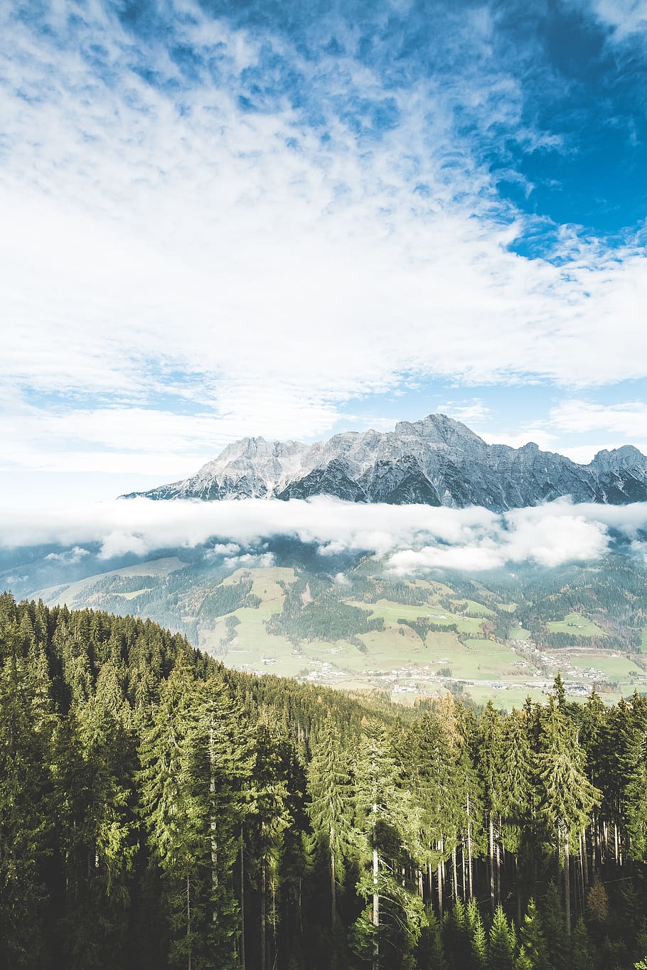 trees under blue sky, beauty in nature, scenics - nature, mountain HD wallpaper
