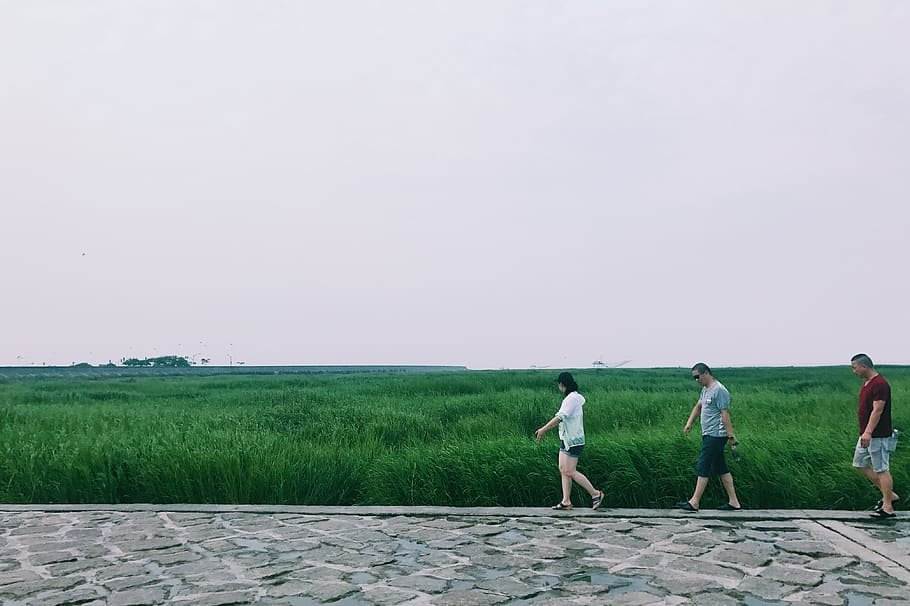 中国, 上海市, sea, grass, full length, sky, women, group of people HD wallpaper