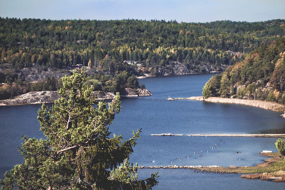 sweden, water, tree, plant, scenics - nature, beauty in nature HD wallpaper