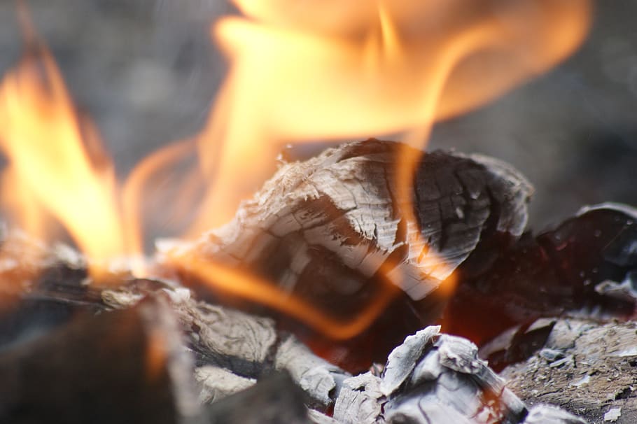 flames, bonfire, glows, brand, campfire, heat, burn, hot, burning HD wallpaper