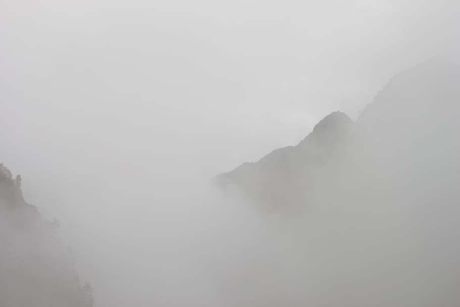 white, mountain range, fog, landscape, forest, tree, beauty in nature HD wallpaper