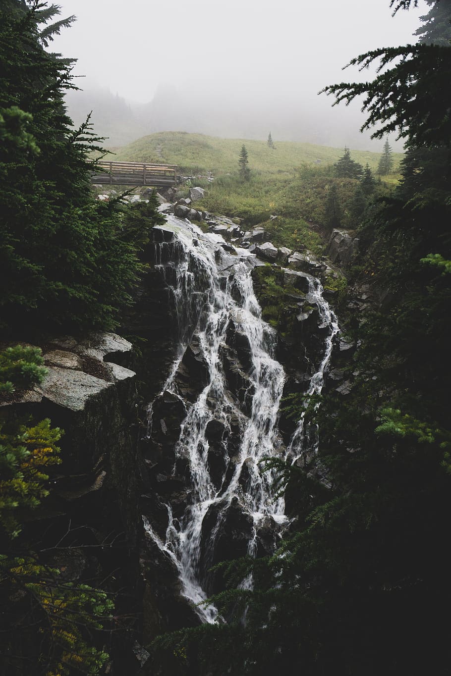 waterfall scenery, tree, plant, beauty in nature, land, scenics - nature HD wallpaper