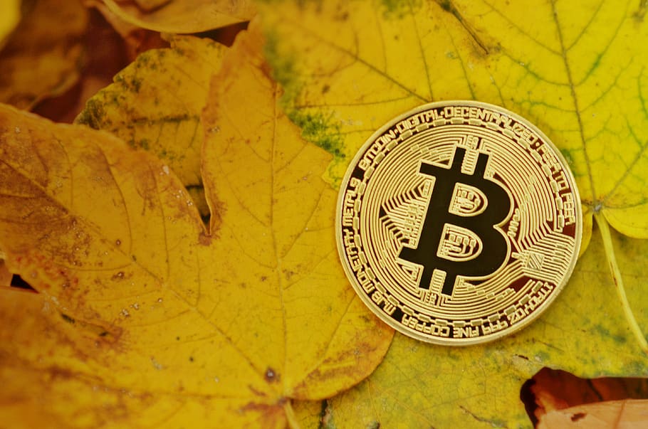 bitcoin, cryptocurrency, coins, virtual, digital, financial HD wallpaper